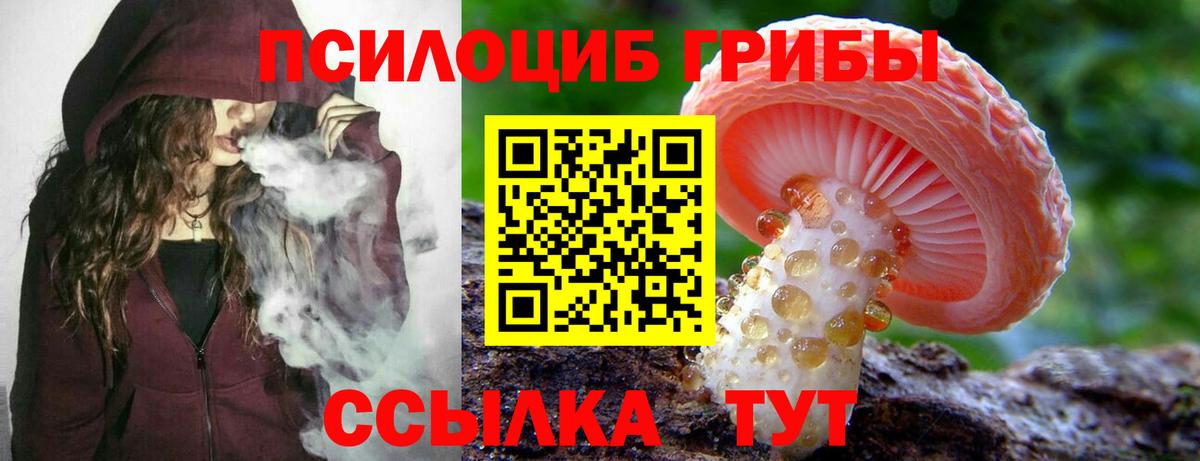 Псилоцибиновые грибы Psilocybine cubensis Бутурлиновка