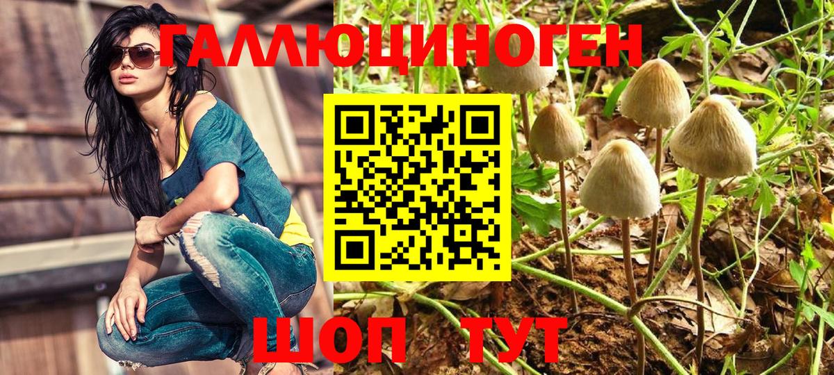 Псилоцибиновые грибы мицелий  Галлюциногенные грибы Psilocybine cubensis  Бутурлиновка  Вход с VPN 